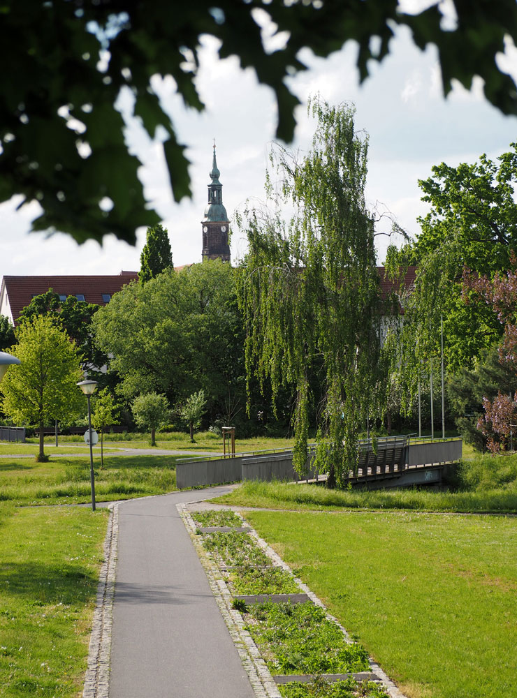 Blick über den Gartenschaupark, der von der Großen Röder durchflossen wird,
zur historischen Altstadt von Großenhain mit Marienkirche.
© Foto: Karsten Blüthgen Blick über den Gartenschaupark, der von der Großen Röder durchflossen wird,
zur historischen Altstadt von Großenhain mit Marienkirche.
© Foto: Karsten Blüthgen