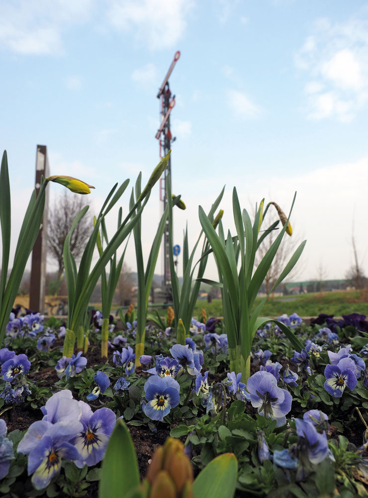 Die Eisenbahn-Nebenbahnstrecke Dürrröhrsdorf–Weißig wurde 43 Jahre betrieben. Heute ist sie gemütlich per Rad zu erfahren.

© Foto: Karsten Blüthgen
